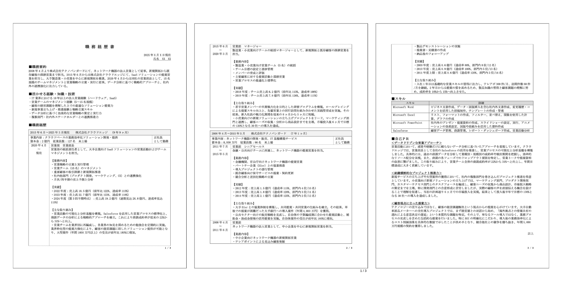 サンプル経歴書2